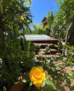 una rosa amarilla en un jardín con piscina en Residencial Vila Suel, en Praia do Rosa