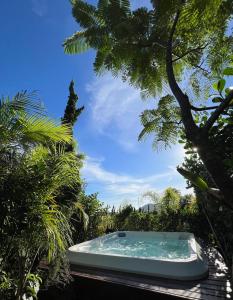 a bath tub sitting next to a palm tree at Residencial Vila Suel in Praia do Rosa