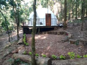 a cabin in the middle of a forest at Glamping Don Delfis in Valle de Bravo