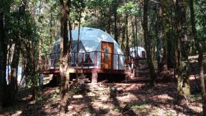 a tree house in the middle of a forest at Glamping Don Delfis in Valle de Bravo