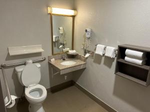La salle de bains est pourvue de toilettes, d'un lavabo et d'un miroir. dans l'établissement Red Roof Inn Auburn Hills, à Auburn Hills