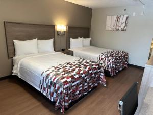 - une chambre d'hôtel avec 2 lits dans l'établissement Red Roof Inn Auburn Hills, à Auburn Hills