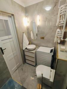 a bathroom with a sink and a toilet and a mirror at Apartament Inka in Gollnow