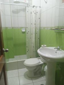 a bathroom with a toilet and a shower and a sink at Hospedaje "LOS QUETZALES DE OXAPAMPA" in Oxapampa