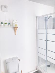 een badkamer met een toilet en een glazen douchecabine bij appartement T2 proche aéroport Orly in Grigny