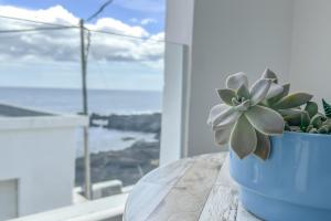 een blauwe potplant op een tafel voor een raam bij Casa Burgao n5 on the front line with seaview terrace in Punta de Mujeres