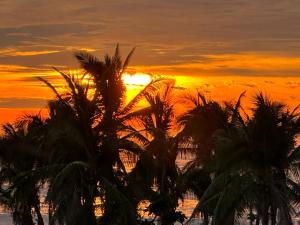 a sunset on the beach with palm trees at Hotel Casa Prisca in Coyuca