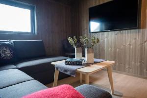 Oleskelutila majoituspaikassa New, modern, cosy hut close to Norefjell Ski & Spa