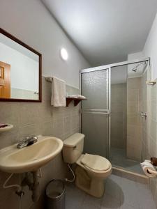 La salle de bains est pourvue de toilettes, d'un lavabo et d'une douche. dans l'établissement Hotel Armenia Centro, à Armenia