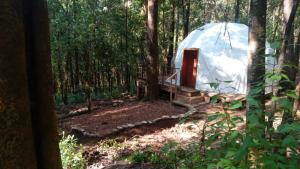 a tent in the woods with a door in the middle at Glamping Don Delfis in Valle de Bravo