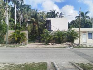 a building with palm trees in front of a street at Villa Akbal with private pool in Bacalar