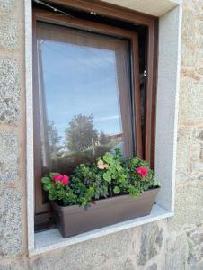 a window with a pot of flowers on a window sill at Casa Rueiro in A Pobra do Caramiñal