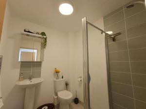 une salle de bain avec une douche, des toilettes et un lavabo dans l'établissement Ideal Brighton Escape ,Cosy & Free Parking- Matt House, à Brighton et Hove 26 autres photos