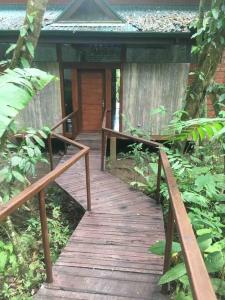 a wooden walkway leading to a cabin in the woods at Cabaña Bosquemar 1 in Agujas