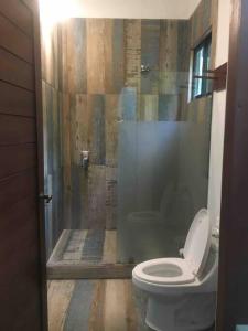 a bathroom with a toilet and a shower at Cabaña Bosquemar 1 in Agujas