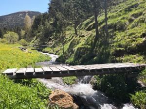 un ponte di legno su un fiume in una valle di Cases Artigues a Os de Civís