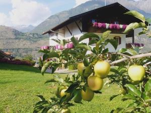 Paesaggio naturale nelle vicinanze dell'affittacamere