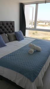 A bed or beds in a room at Departamento Laguna del mar La Serena