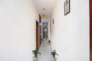 a corridor with potted plants in a hallway at Flagship Cozy Stay Near Dilli Haat Ina in New Delhi