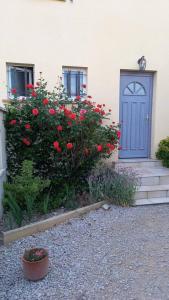 uma casa com uma porta azul e flores vermelhas em Maison de 3 chambres avec terrasse et wifi a Greoux les Bains em Gréoux-les-Bains