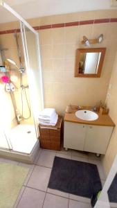 uma casa de banho com um lavatório e um chuveiro com um espelho. em Maison de 3 chambres avec terrasse et wifi a Greoux les Bains em Gréoux-les-Bains