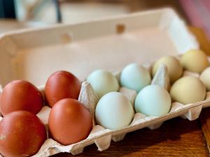 Una docena de huevos en una caja sobre una mesa. en Letchworth Farm Guesthouses, en Nunda