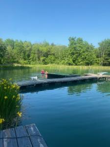 a dock with a boat in the middle of a lake at Letchworth Farm Guesthouses in Nunda