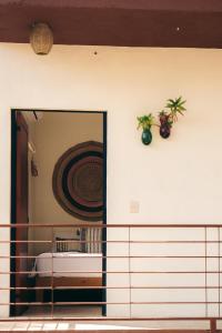 Habitación con espejo y 2 plantas en la pared en Nuiya Hoteles Centro en Sayulita