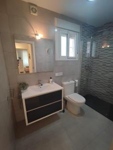 y baño con lavabo, aseo y ducha. en Apartamento Pilar, en Sevilla