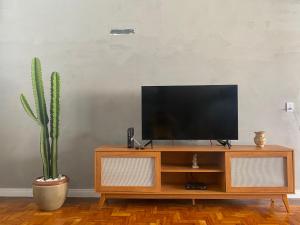 TV en un centro de entretenimiento de madera con cactus en Santa Casa Ap moderno e espaçoso em frente à Santa Casa com garagem, en Porto Alegre