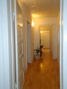 an empty hallway with a door and a potted plant at Guesthouse Copenhagen in Copenhagen