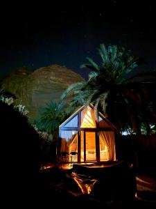 a glass house with a palm tree in the background at منتجع ريف العلا in AlUla