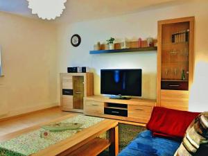 a living room with a couch and a tv at Apartement Victoria in Swisttal