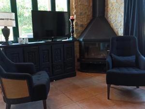聖佩德羅－佩斯卡多爾的住宿－Casa Sant Pere Pescador, 5 dormitorios, 10 personas - ES-89-133，客厅设有两把椅子和一台电视,配有壁炉
