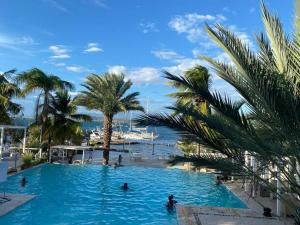 uma grande piscina com palmeiras e pessoas nela em Casa Zanelli, lugar de paz… em Baní