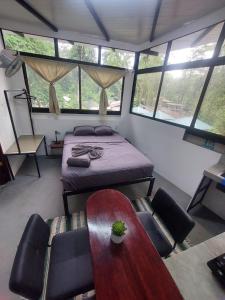 a room with a bed and a table and chairs at Villa Los Altos - Private Tree Suite Roof Top walk to Playa Chiquita in Cocles