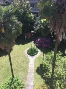 an overhead view of a garden with palm trees and a walkway at La Pallanzotta in Verbania