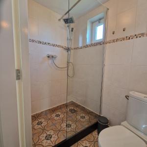 a bathroom with a shower and a toilet at Het Zomerhuis in Egmond-Binnen