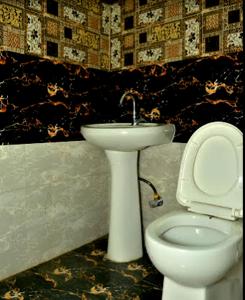 La salle de bains est pourvue de toilettes blanches et d'un lavabo. dans l'établissement ANGAD RESIDENCY, à Amritsar