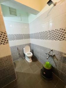 a bathroom with a toilet and a shower and a sink at HOTEL CHRUCH SIDE in Madikeri