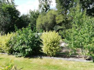 una fila de arbustos en un jardín con árboles en Au cœur du jardin en La Boussac