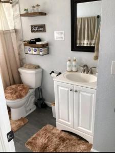 a bathroom with a toilet and a sink and a mirror at Creamy, Snug & Delightful Economical Guesthouse in Aurora