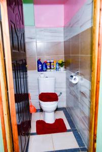 a bathroom with a toilet with red mats on the floor at Ruby Modern Homes Nyeri-Skuta in Nyeri