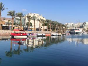 a group of boats in a river with palm trees at הספינה של אריק in Eilat