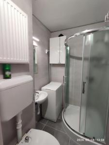 ein Bad mit einer Dusche, einem WC und einem Waschbecken in der Unterkunft LBB apartman in Sátoraljaújhely