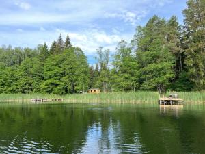 un lago con un banco y una casa en el fondo en Miško Maudynės, en Kaltanėnai