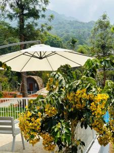a white umbrella and a plant with yellow flowers at Historic Heaven wayanad in Vythiri