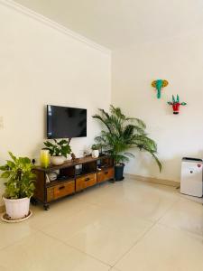 a living room with a tv and some plants at SEPIA STOREYS in Porvorim
