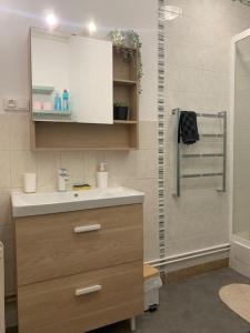 bagno con lavandino e doccia di Chaleureuse maison quartier calme hôpital a Châteauroux