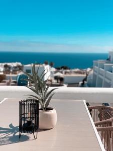 a potted plant sitting on a table on a balcony at Casa Rosalía II in Puerto del Carmen in Tías